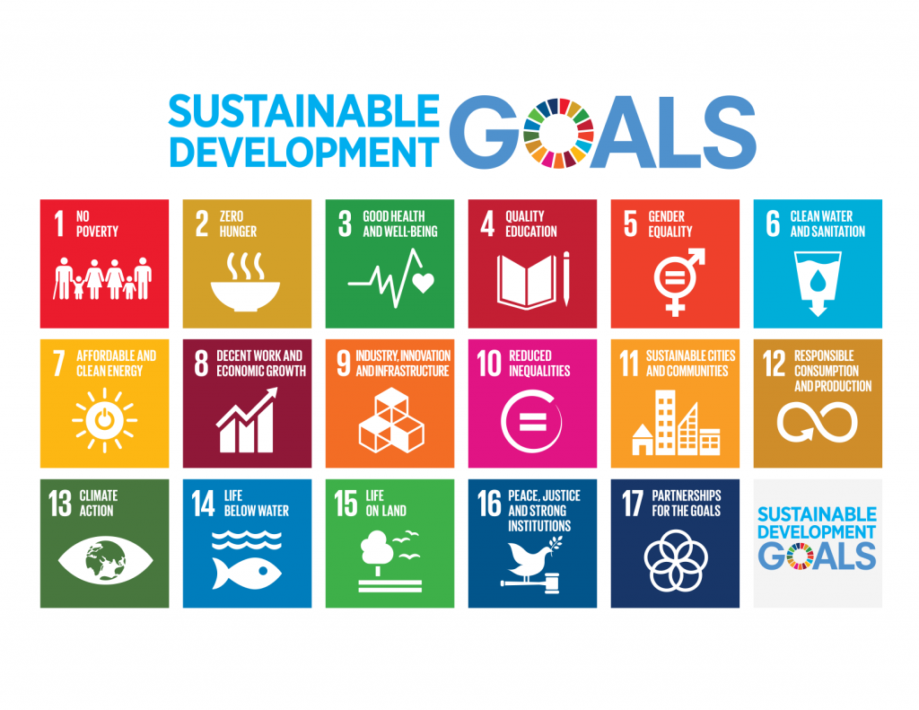 Image result for Sustainable Development Goals